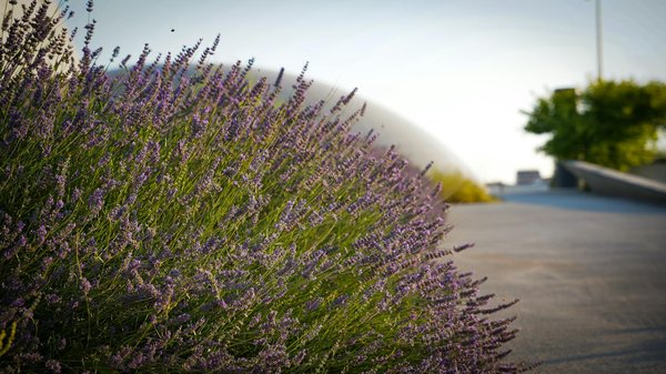 Les meilleures offres d'un magasin multispécialiste en ligne