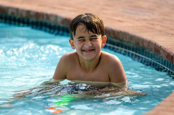 Tarif de taille d'une haie : préparez bien votre budget