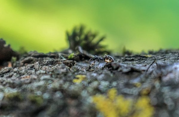 Quelles sont les solutions les plus esthétiques pour camoufler des radiateurs dans un salon ?