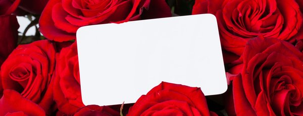 Livraison roses éternelles en 24h : élaborez votre box personnalisée